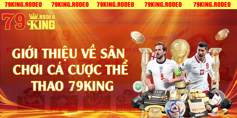 Thể Thao 79King - Nền Tảng Cá Cược Thể Thao Hàng Đầu Việt Nam 2025 Thể Thao 79King Là Gì? Tổng Quan Về Nền Tảng Cá Cược Thể Thao